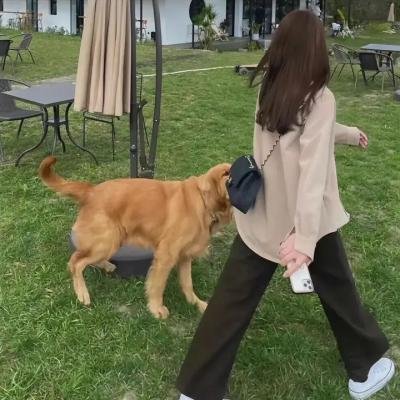 复仇艳遇